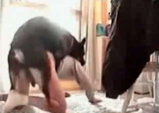 Black hound fucks in the doggy pose